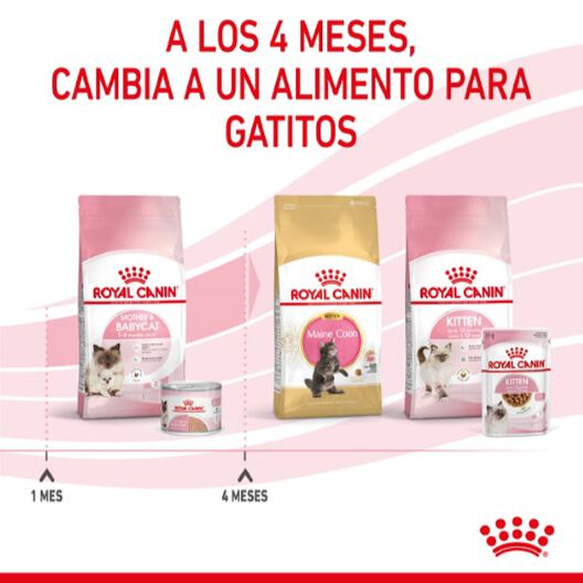 Royal Canin Mother Baby mousse latas para gatos, , large image number null